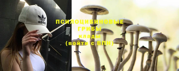гидра Зеленокумск
