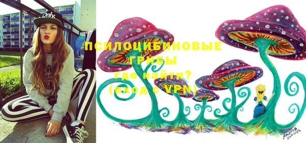 гидра Зеленокумск