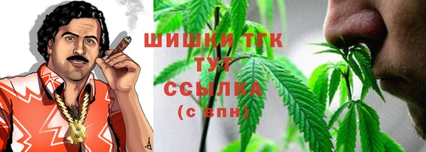 гидра Зеленокумск