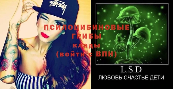 гидра Зеленокумск