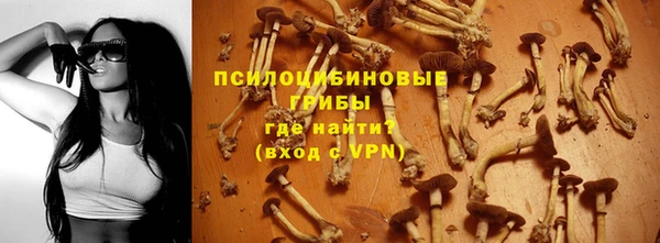 гидра Зеленокумск