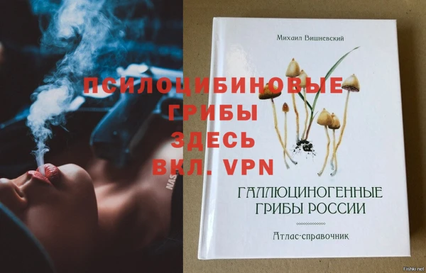 спиды Зеленодольск