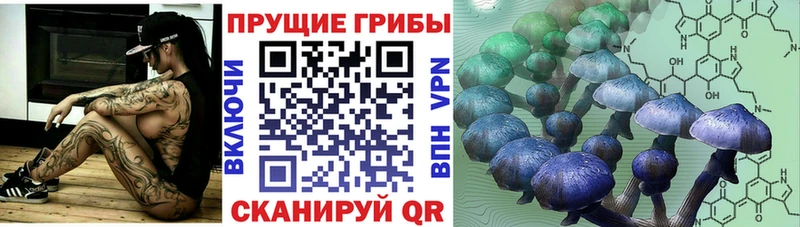 Псилоцибиновые грибы мицелий  Купить закладки  Лыткарино 